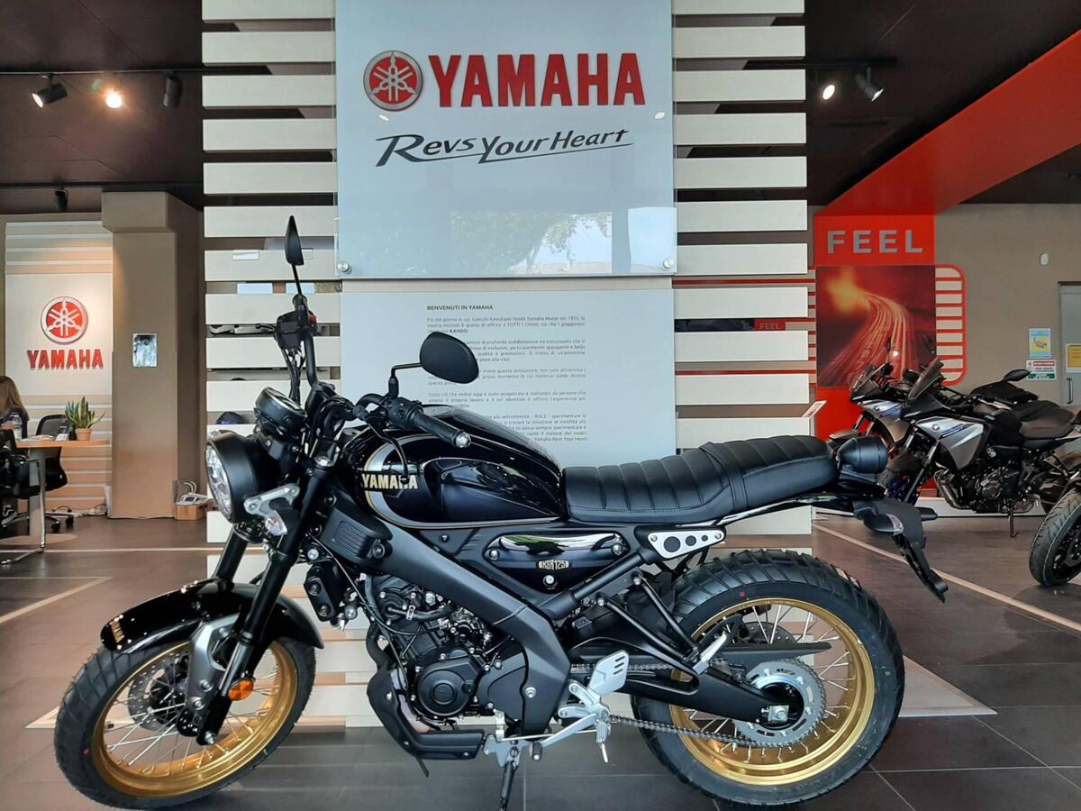 Vendo Yamaha Xsr Legacy Nuova A Oderzo Codice