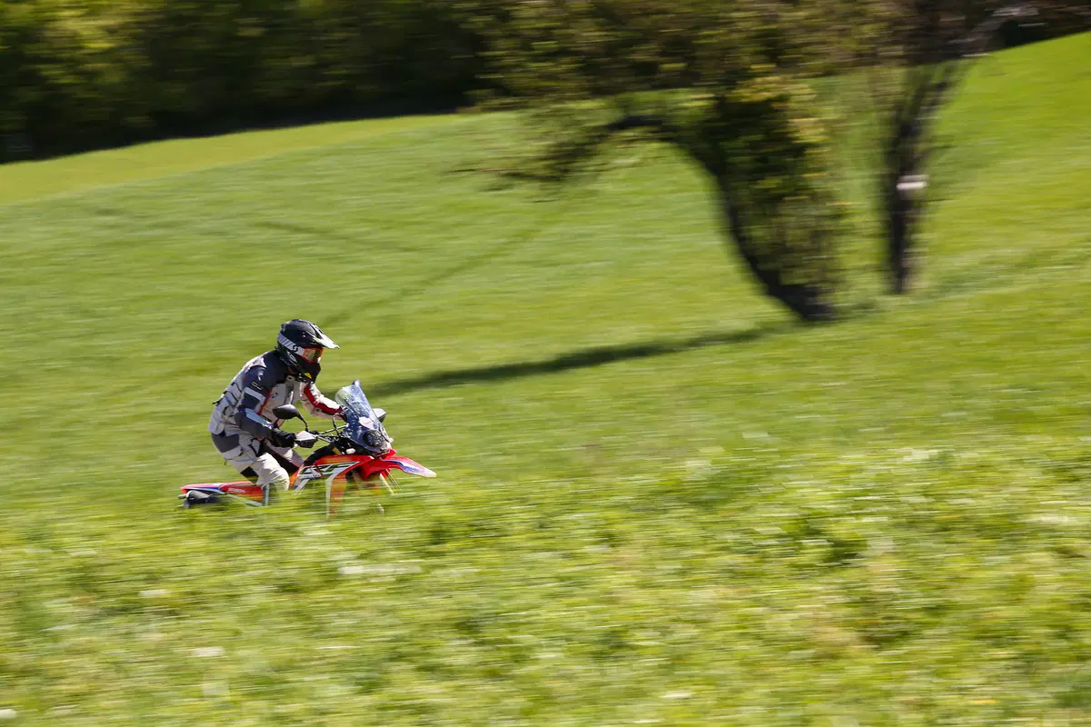 Honda CRF 250 Rally. Il test della baby da rally! (6)