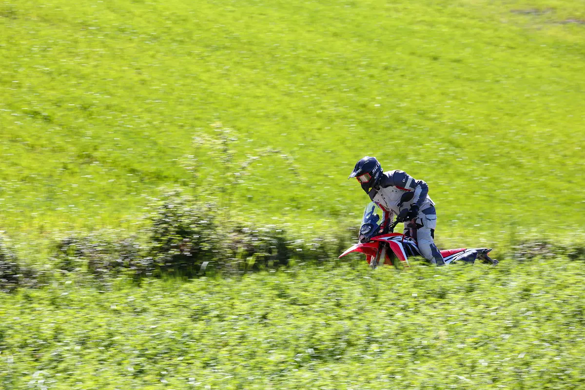 Honda CRF 250 Rally. Il test della baby da rally!