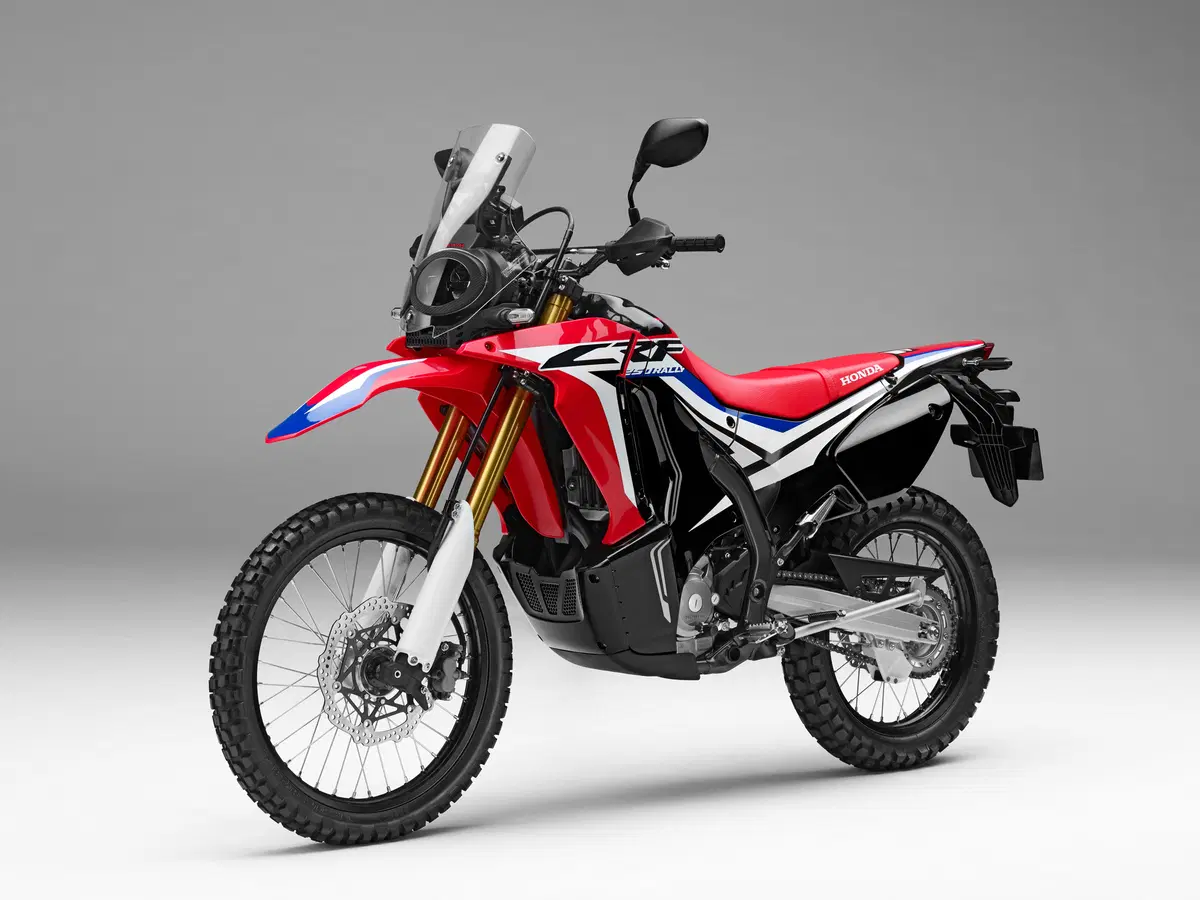 Honda CRF 250 Rally. Il test della baby da rally! (12)