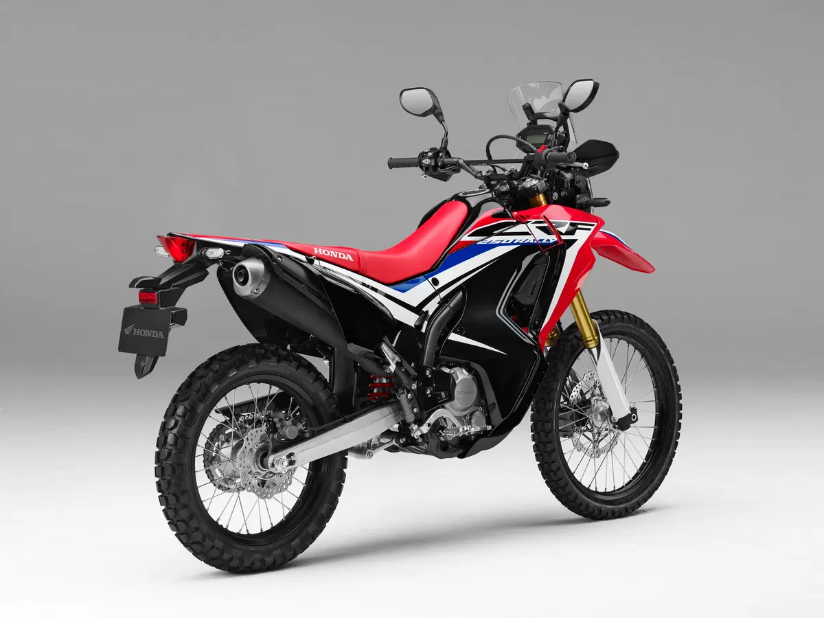 Honda CRF 250 Rally. Il test della baby da rally! (13)