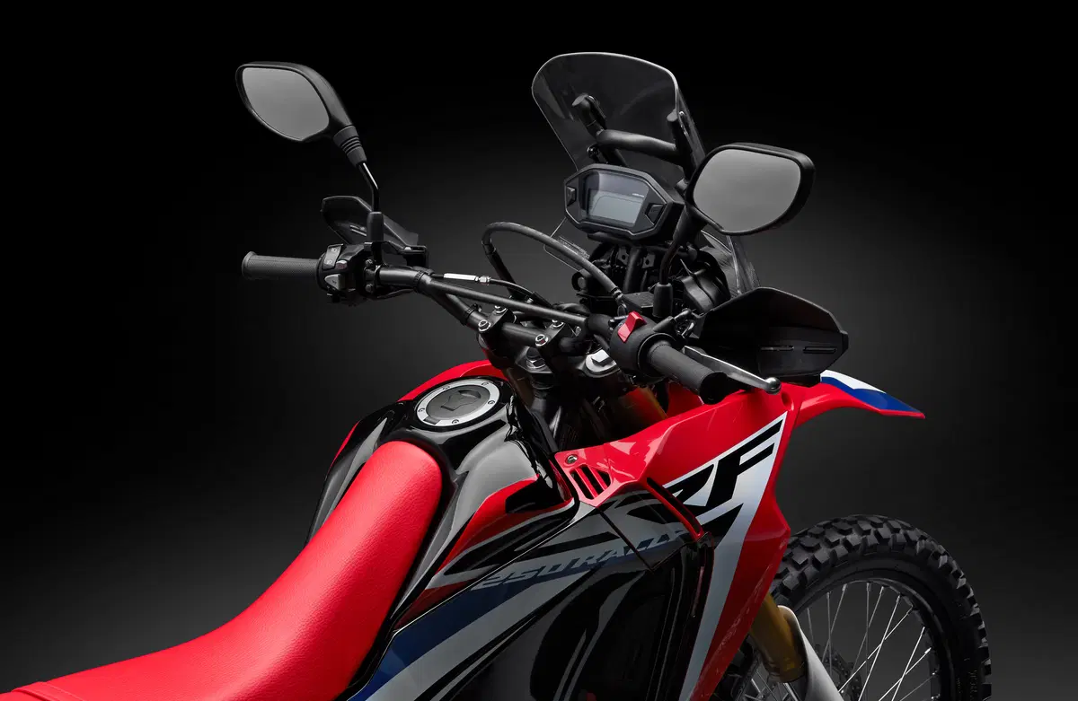 Honda CRF 250 Rally. Il test della baby da rally! (21)