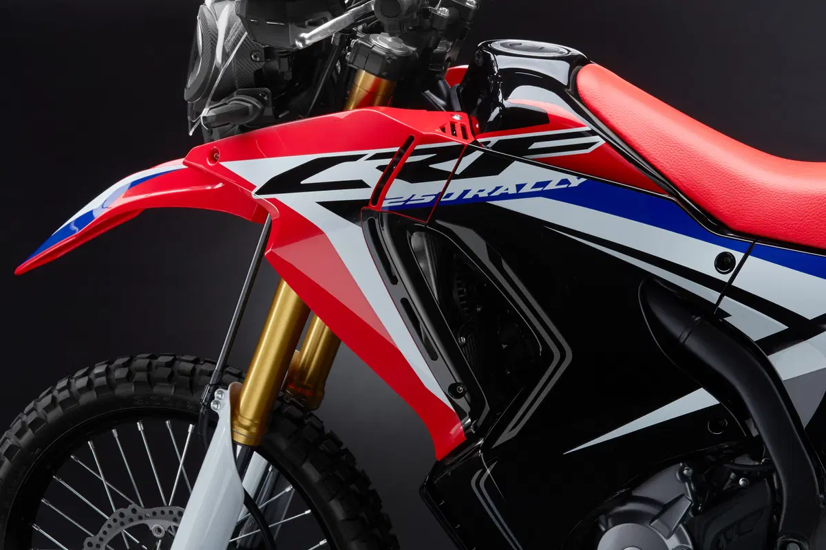 Honda CRF 250 Rally. Il test della baby da rally! (22)