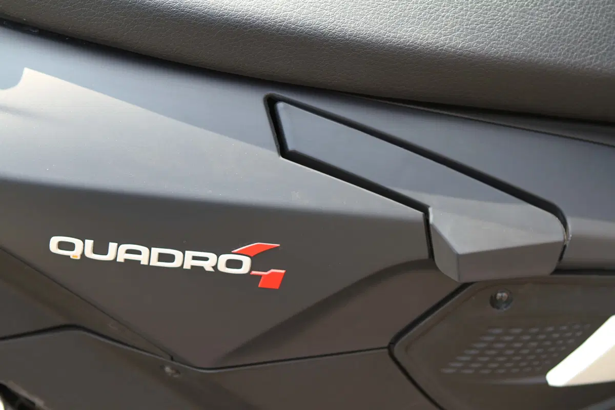 Quadro 4 (7)