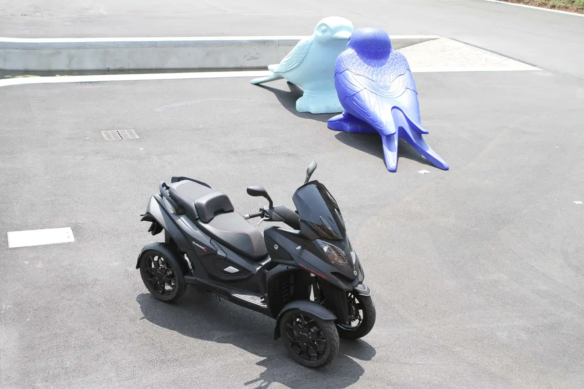 Quadro 4 (12)