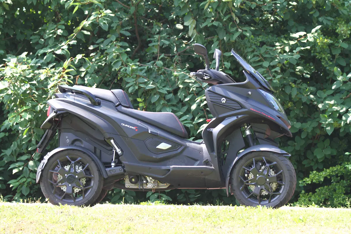 Quadro 4 (15)