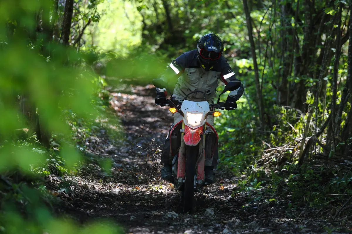 Honda CRF 250 L. L'enduro non è mai stato così facile (5)