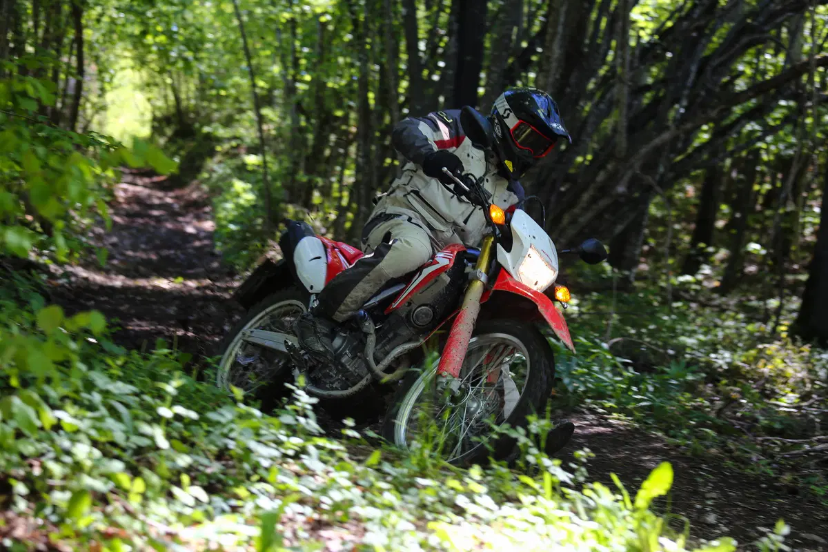 Honda CRF 250 L. L'enduro non è mai stato così facile