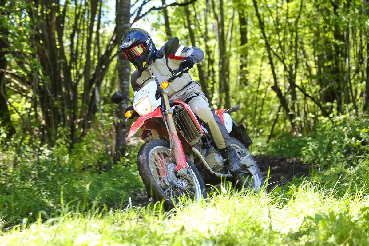 Honda CRF 250 L. L'enduro non è mai stato così facile (8)