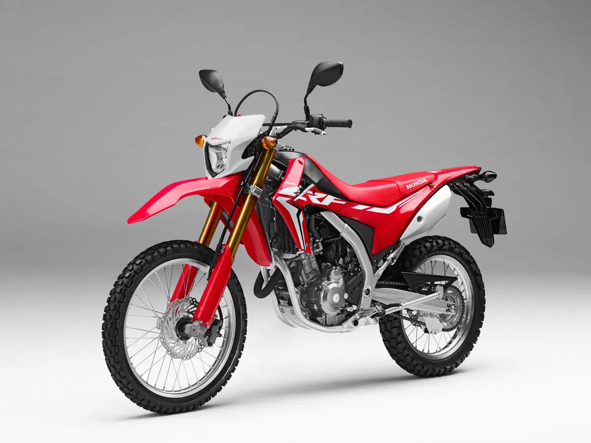 Honda CRF 250 L. L'enduro non è mai stato così facile (12)