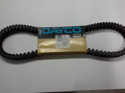 cinghia trasmissione Rms