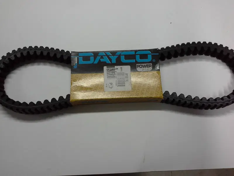 cinghia trasmissione Rms