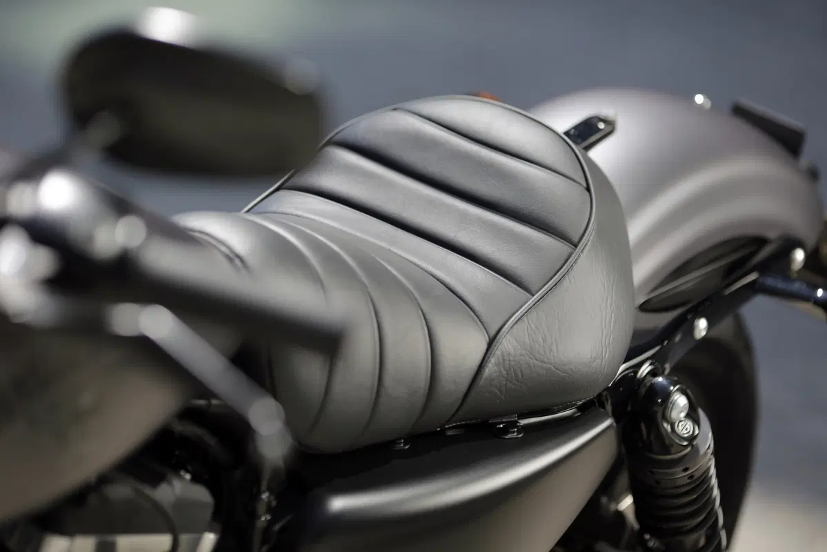 Harley-Davidson 2016 (3)