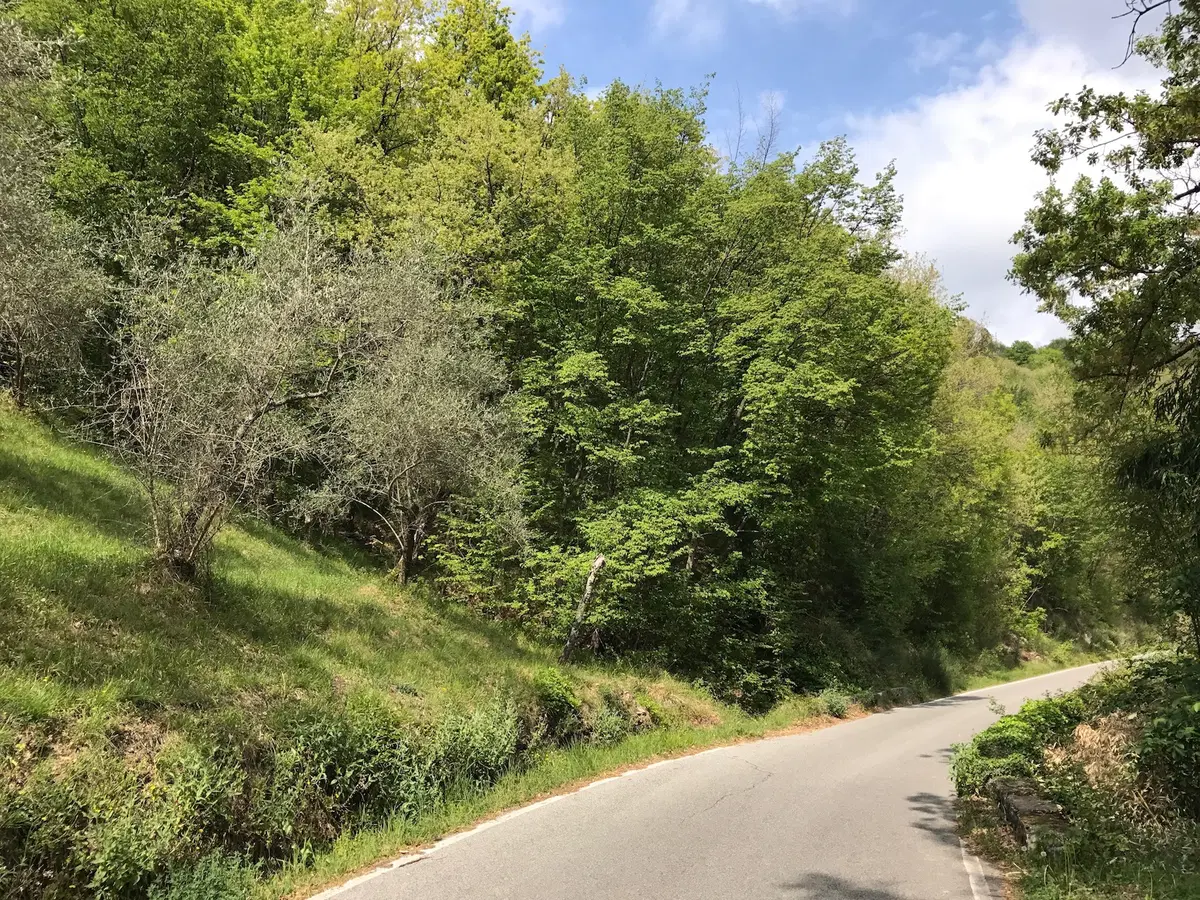 In viaggio con Camilla: Modena, la Garfagnana e l'appennino tosco-emiliano (4)