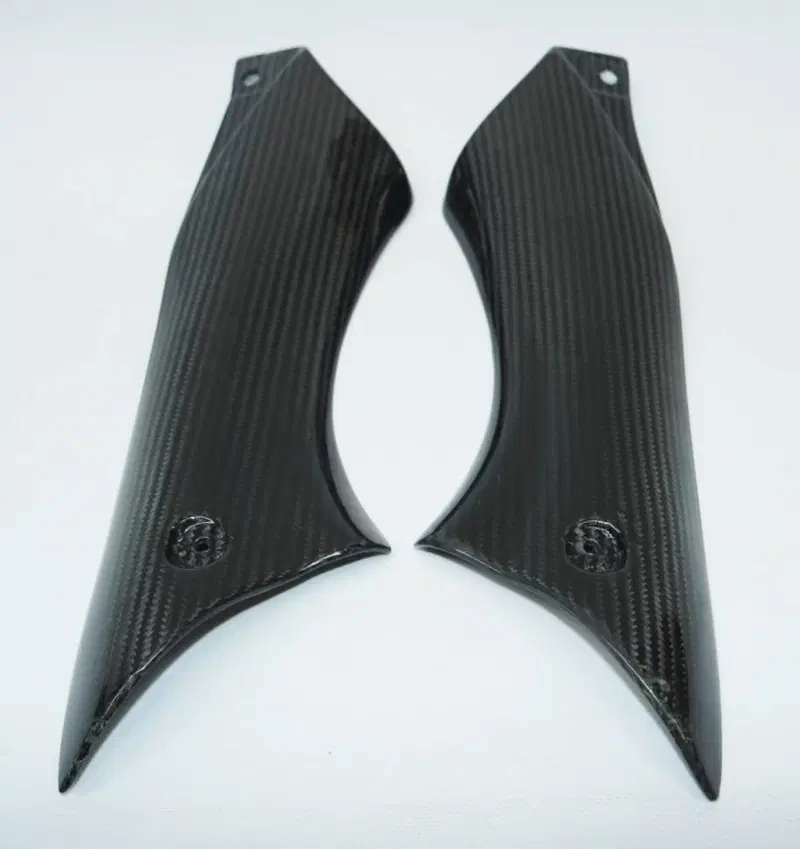 Cover Carbonio TT600 Triumph (2)