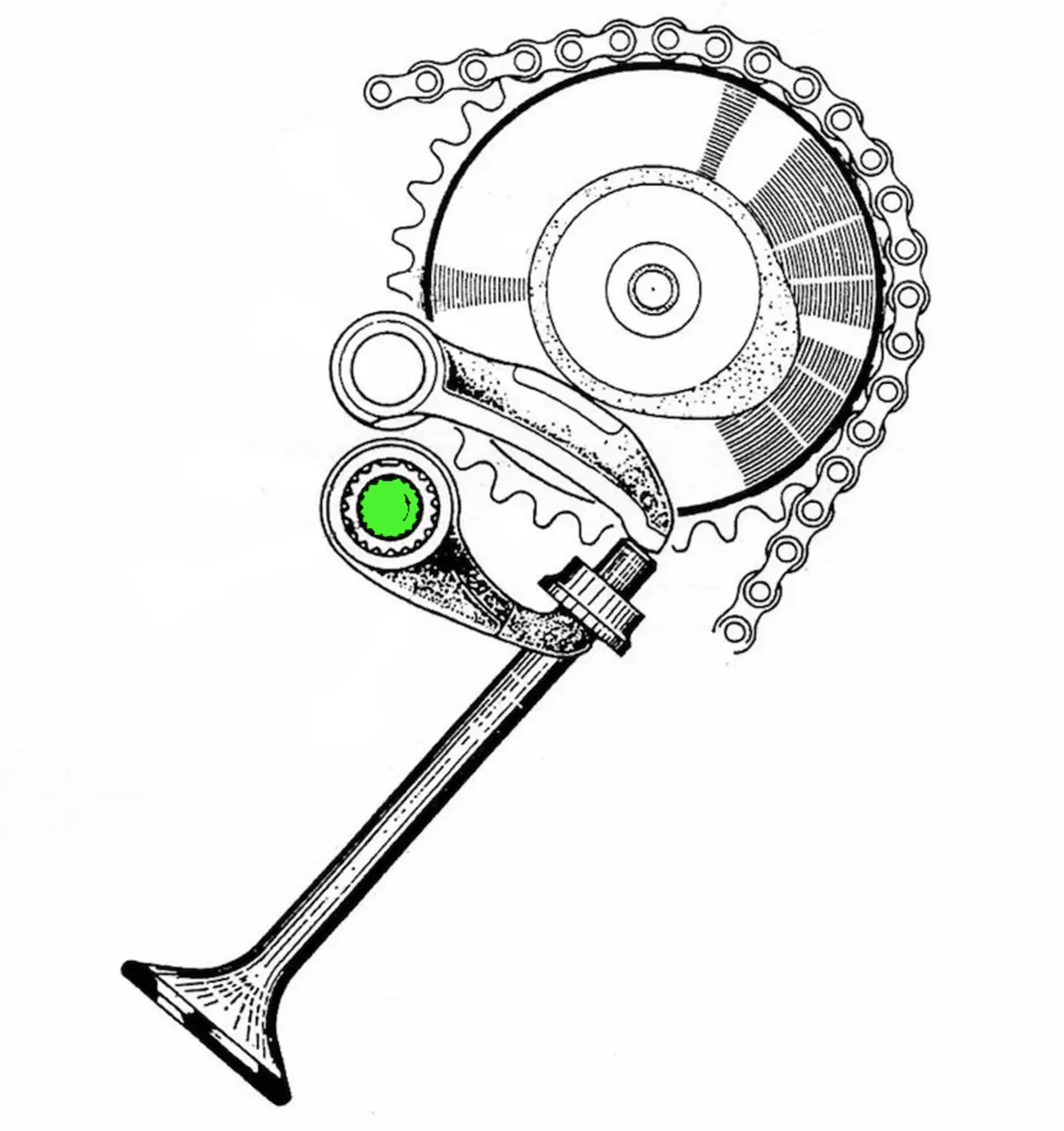 Vittime dell’evoluzione tecnica (5)