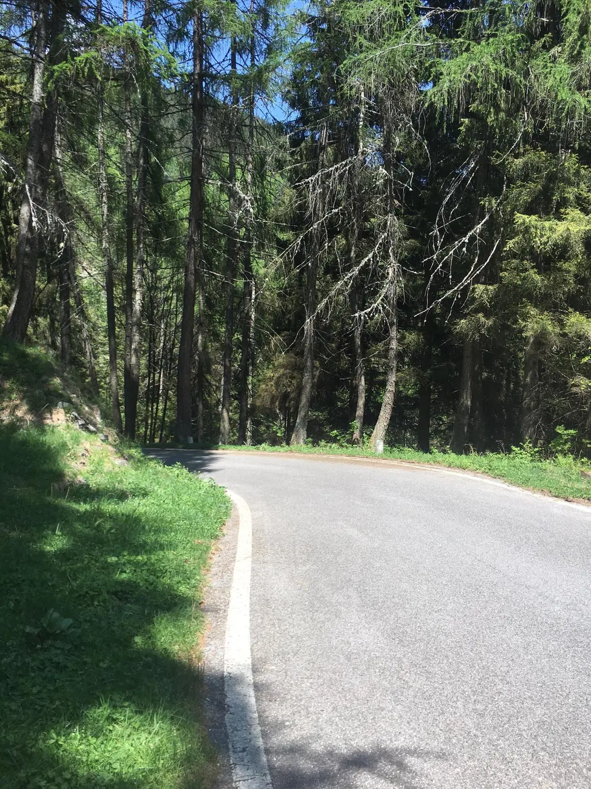 In viaggio con Camilla: alto bergamasco e Valtellina (3)