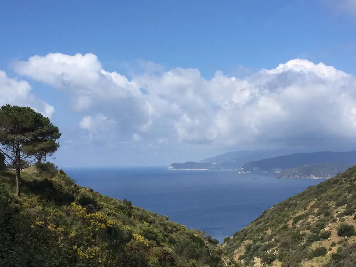 Isola D'Elba: 4 giorni tra natura e paesaggi mozzafiato (24)