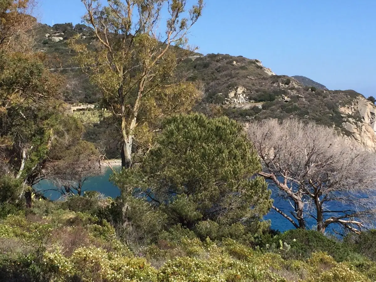 Isola D'Elba: 4 giorni tra natura e paesaggi mozzafiato (29)