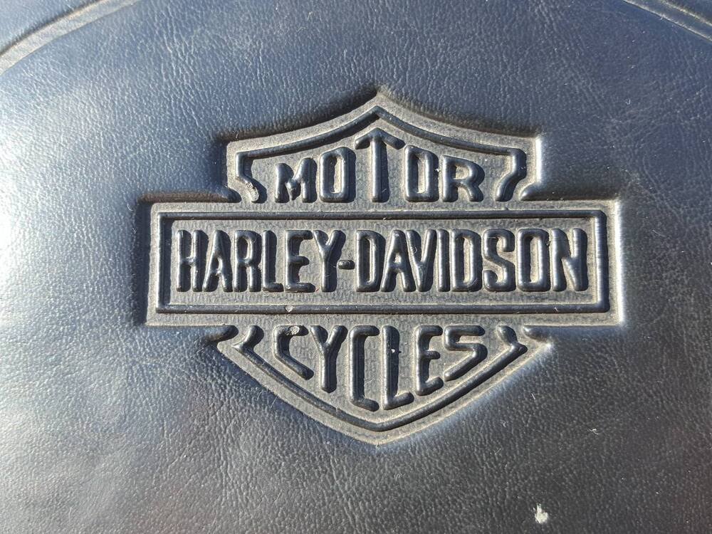 Schienale Harley-Davidson (2)