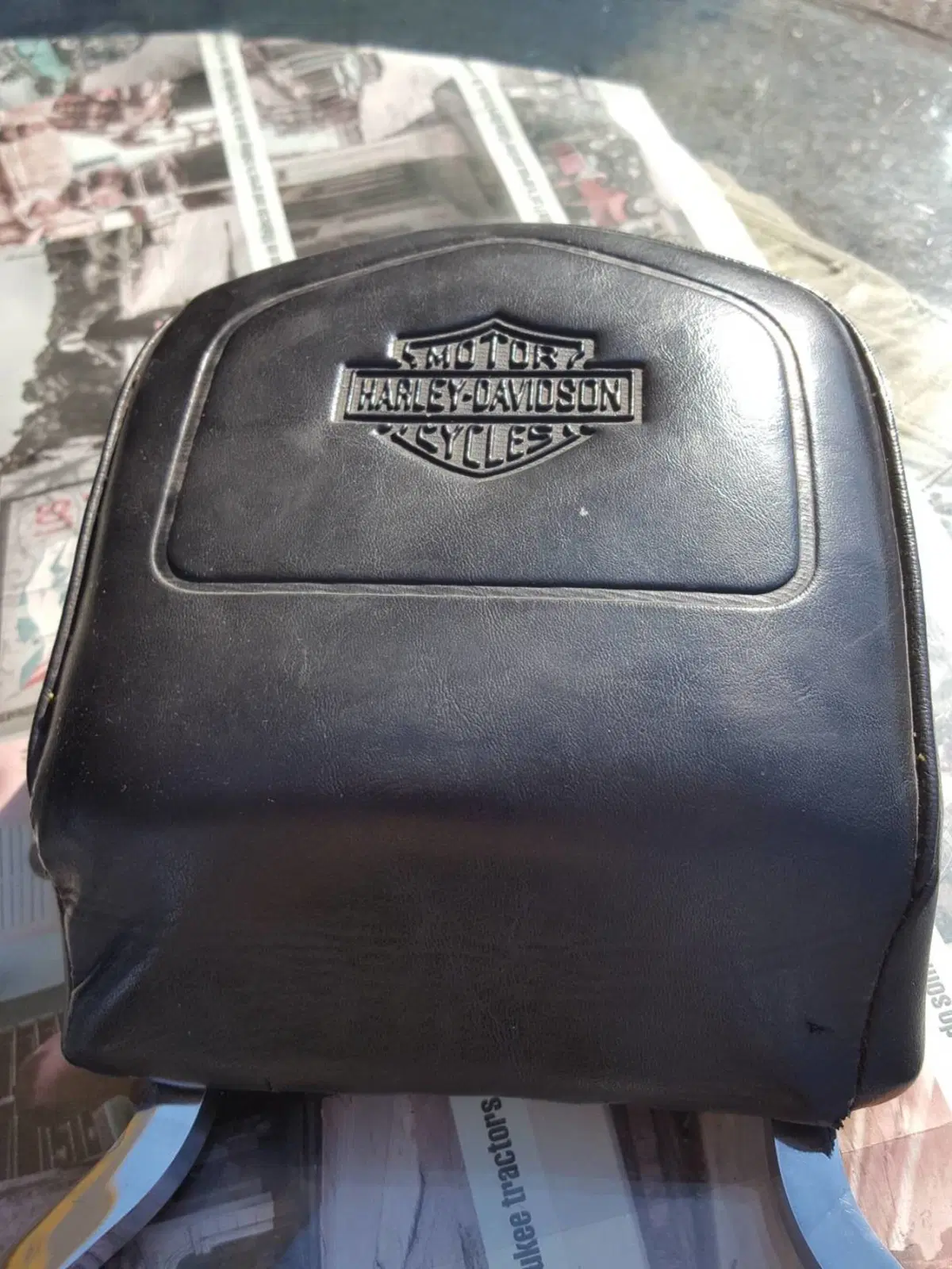 Schienale Harley-Davidson (3)