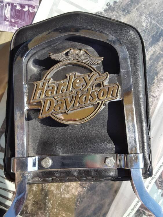 Schienale Harley-Davidson (4)