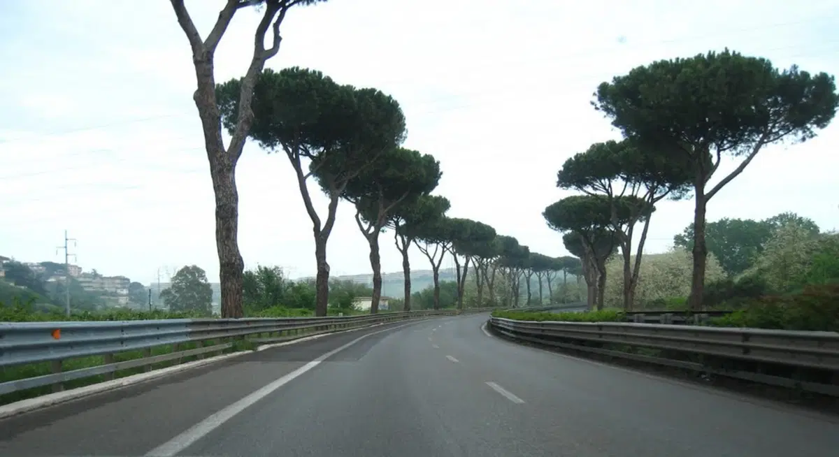 Via Cristoforo Colombo: è allarme rosso (3)