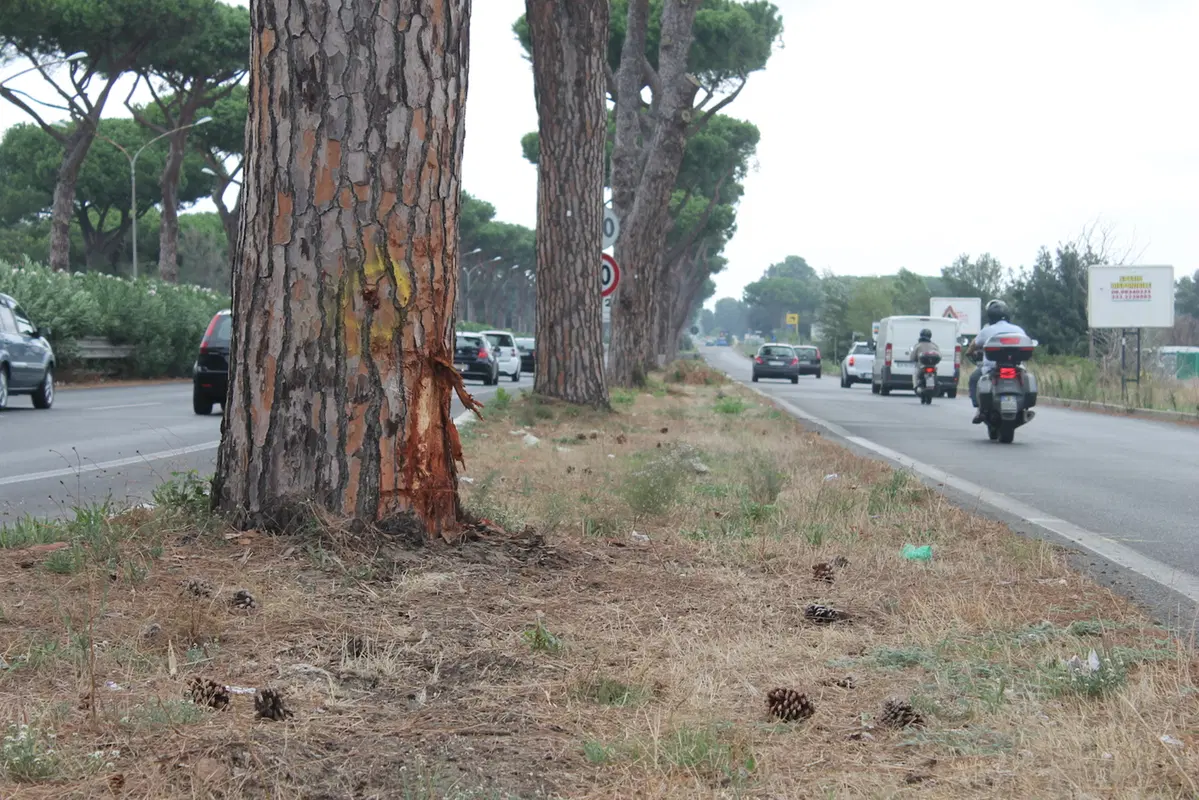 Via Cristoforo Colombo: è allarme rosso (2)