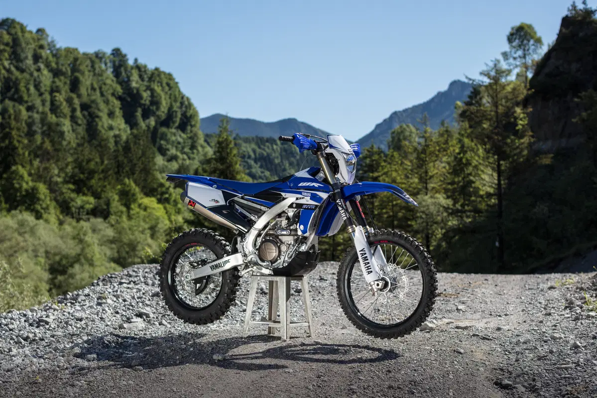 Yamaha WR 450 F WR 450 F Enduro GP (2017) (15)