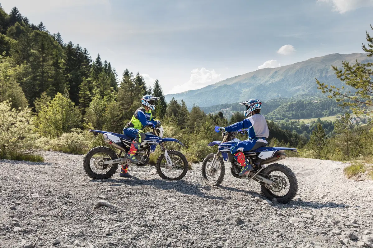 Yamaha WR 250 F WR 250 F Enduro GP (2017) (19)