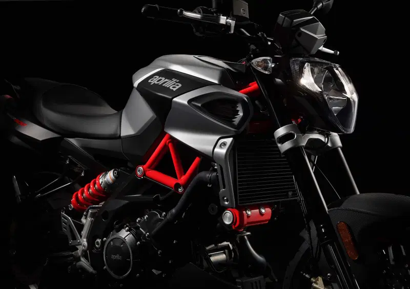 Aprilia Shiver 900 Shiver 900 ABS (2017 - 18) (9)
