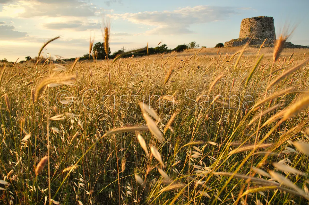 Pastori in Moto, per un moto turismo d'eccedenza in Sardegna (8)