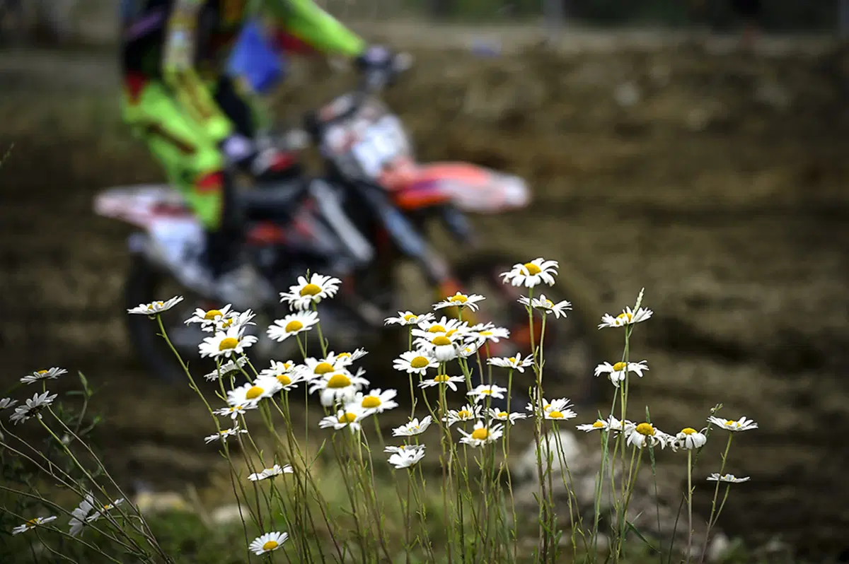 Gallery MX 2017. Le foto più belle del GP di Russia (13)