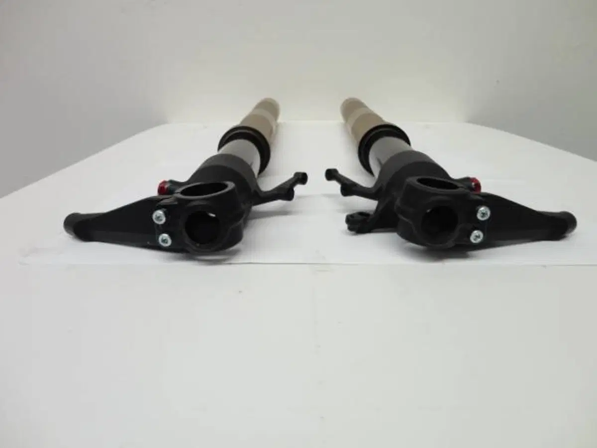Forcella Ducati Panigale Marzocchi (2)