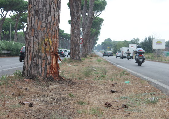 Via Cristoforo Colombo, Roma: è allarme rosso