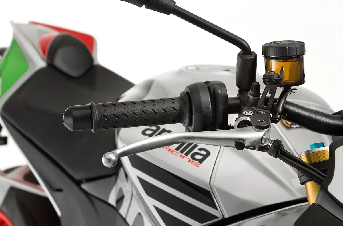 Aprilia Tuono V4 1100 Factory (15)