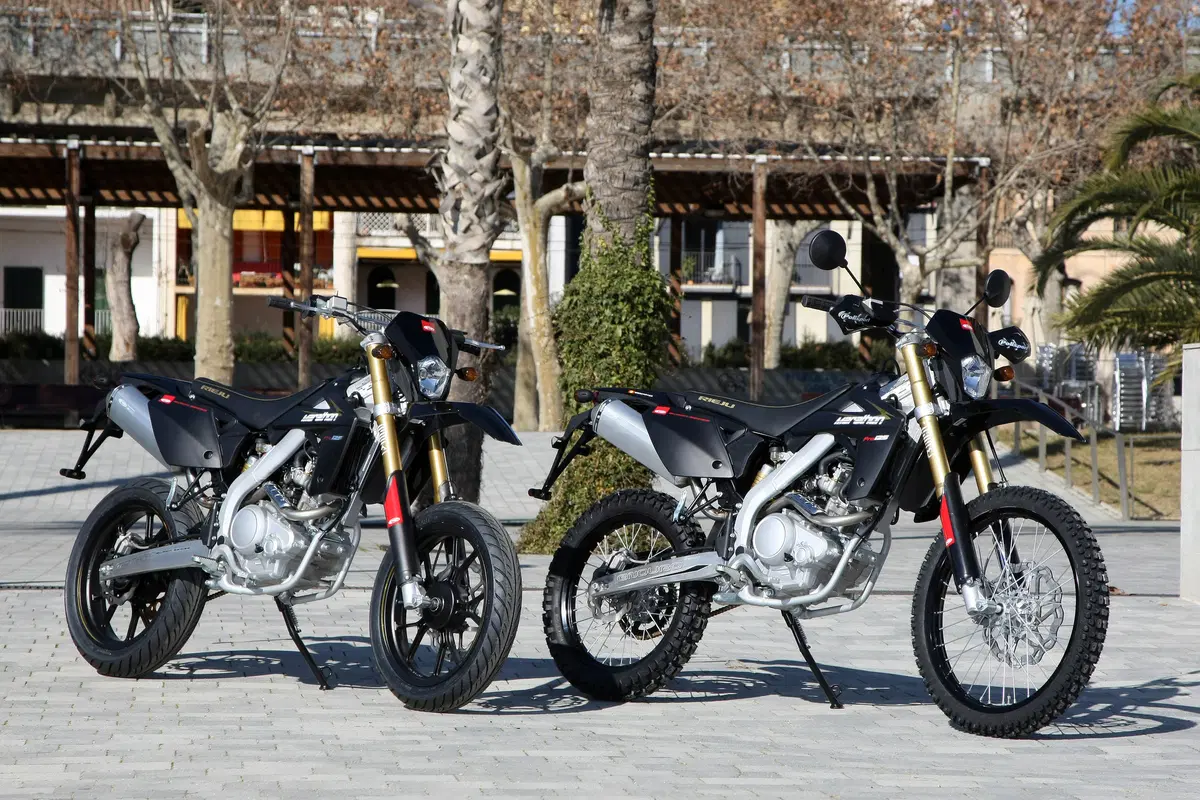 Rieju Marathon 125 Motard Marathon 125 Motard Pro (2017 - 20) (3)