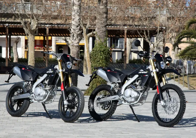 Rieju Marathon 125 Motard Marathon 125 Motard Pro (2017 - 20) (3)