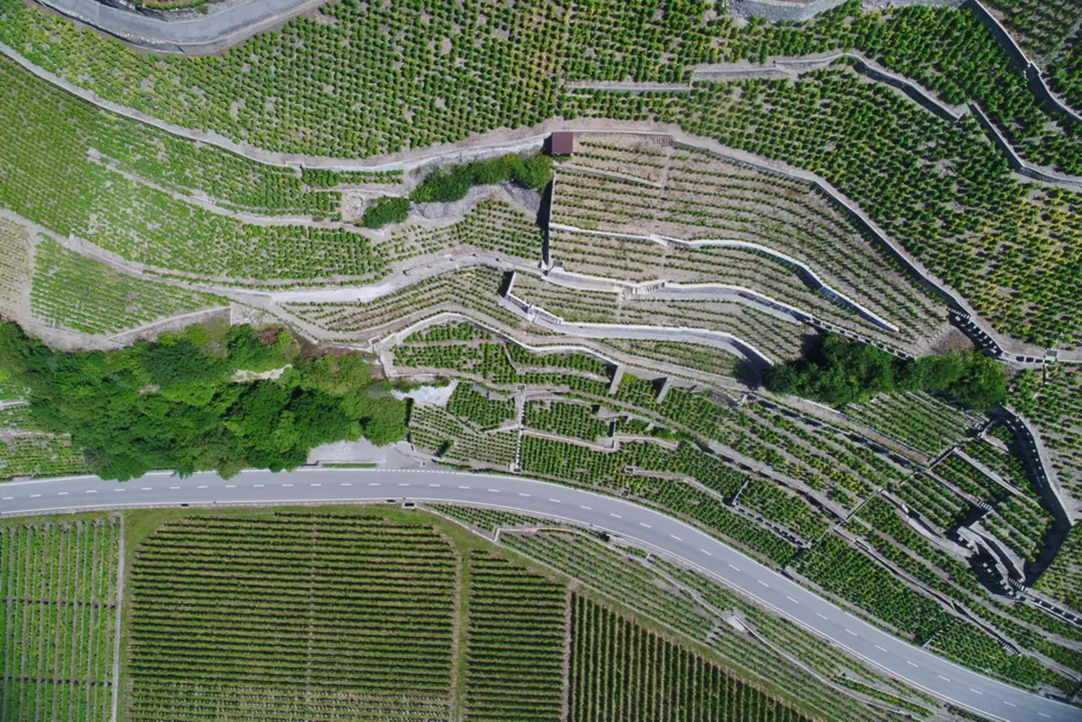 Planet Explorer 10 Switzerland - Day 3 (7)
