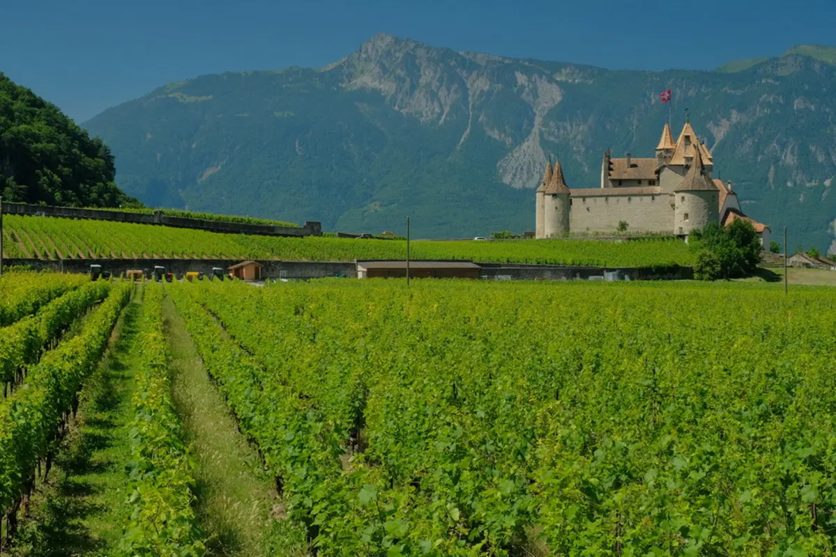 Planet Explorer 10 Switzerland - Day 3 (8)
