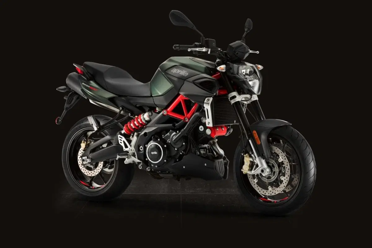 Aprilia Shiver 900 (8)