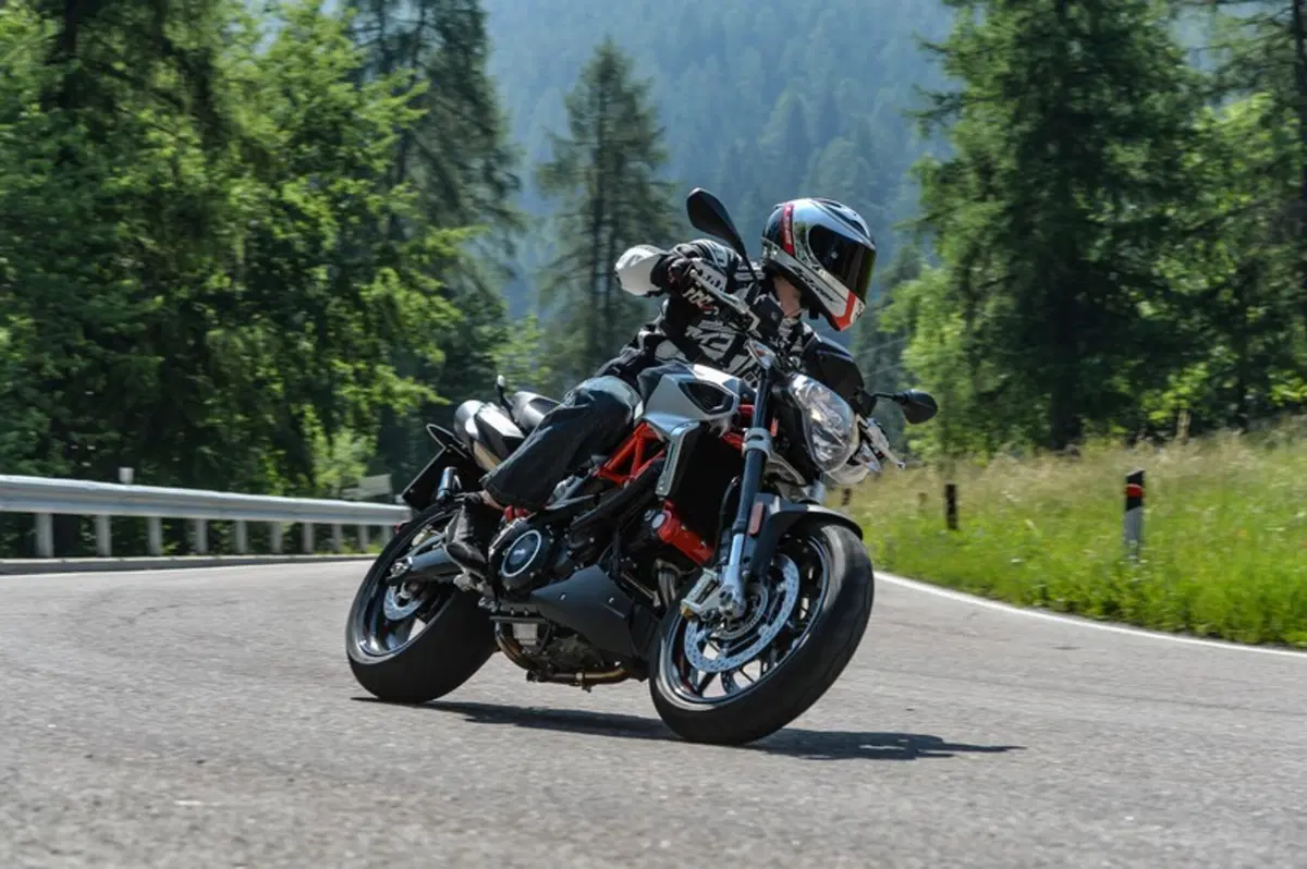 Aprilia Shiver 900 (11)