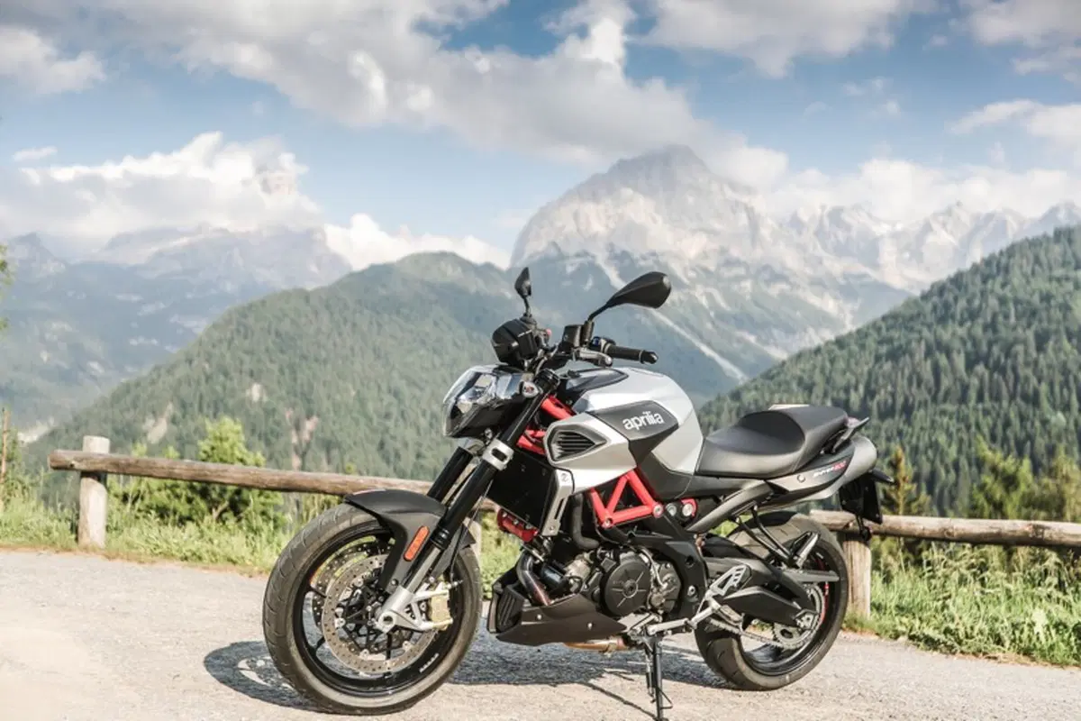 Aprilia Shiver 900 (9)