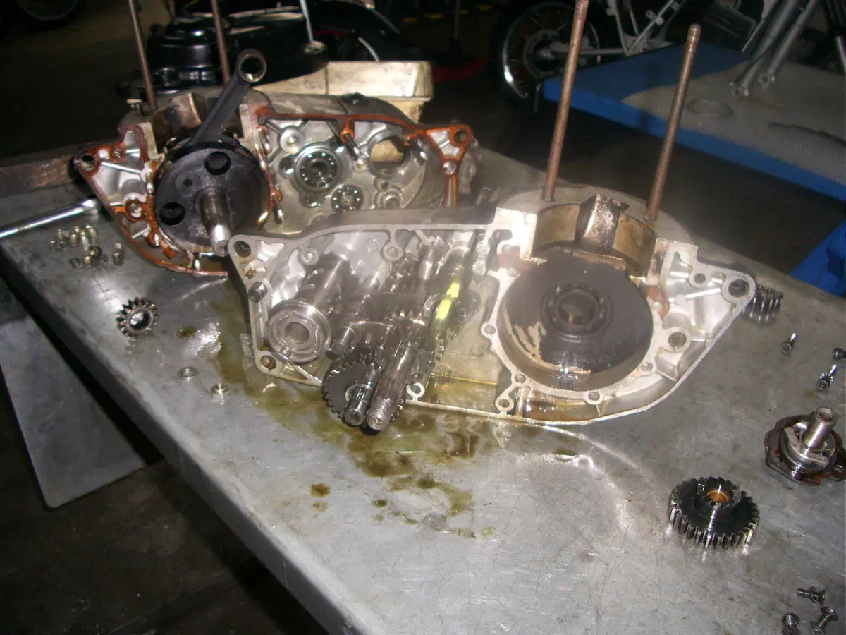 Restaurando, undicesima puntata: Bultaco Alpina 250 (41)