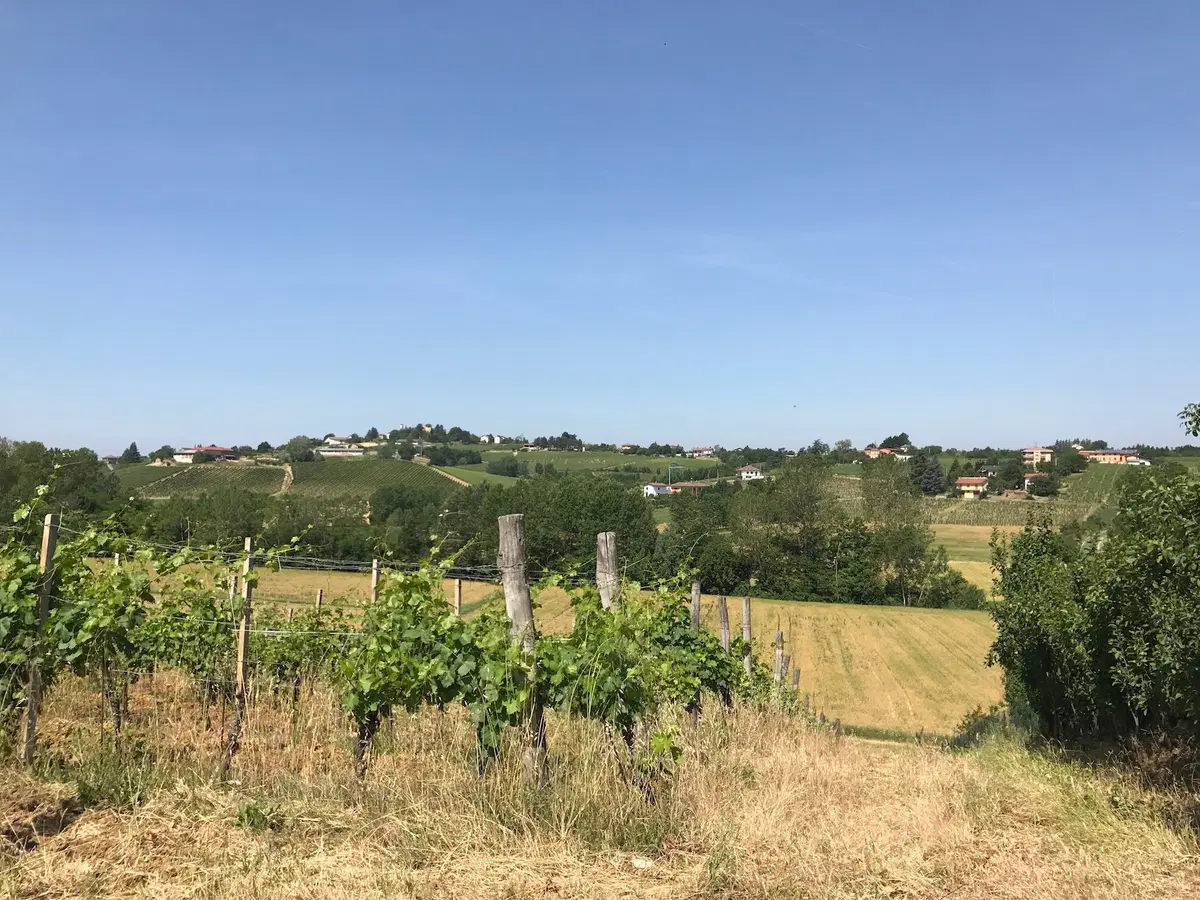In viaggio con Camilla: tra Piemonte e Liguria (3)