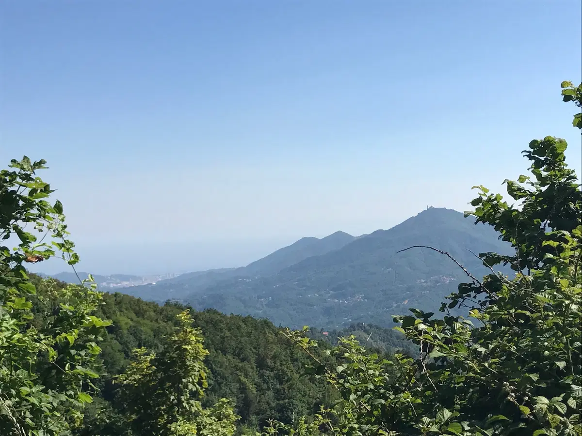 In viaggio con Camilla: tra Piemonte e Liguria (7)