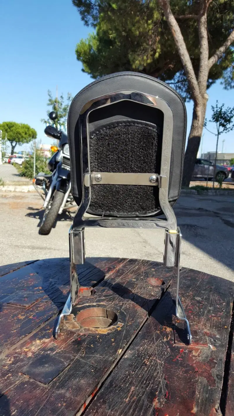 Schienalino Sportster Harley-Davidson (2)