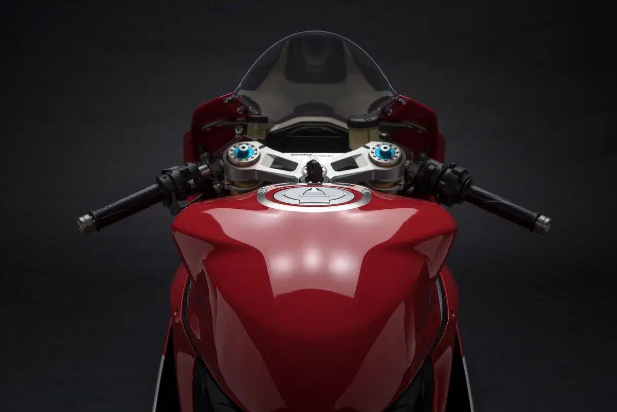 Ducati 1299 Panigale R Final Edition (9)