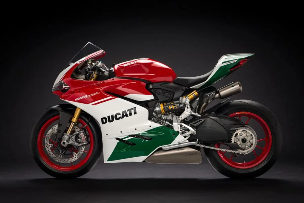 Ducati 1299 Panigale 1299 Panigale R Final Edition (2017 - 20) (3)