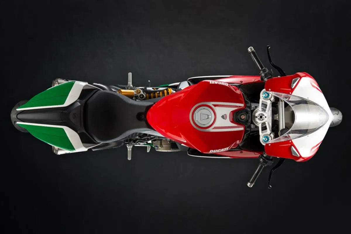 Ducati 1299 Panigale 1299 Panigale R Final Edition (2017 - 20) (6)